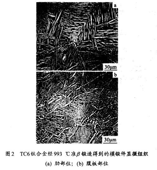 TC6鈦合金經993 ℃準鍛造得到的模鍛件顯微組織(a) 肋部位；(b) 腹板部位