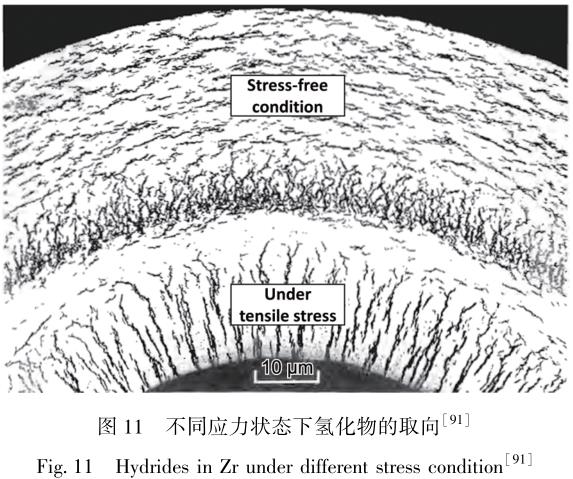 1714985213138142.jpg 360截圖16200706756872.jpg